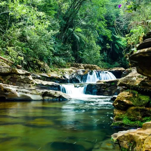 parque das andorinhas 03